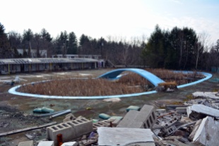 Recent photo of outdoor pool with reeds growing in it
