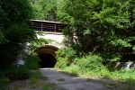 Turnpike tunnel overgrown with vegetation