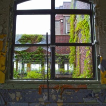 Looking out window with colorful peeling paint around the mulions and an old brick building covered in vines outside.